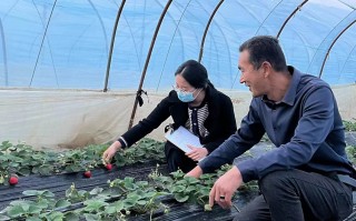 泽元科技 县草莓协会与企业相关人员考察观摩云南生物工程研发和生产企业