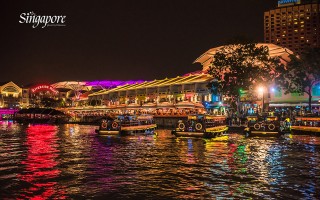 狮城科技 小雅故事泪：新加坡梦碎三亚，咬伤无救父母心碎，反思要珍爱生命