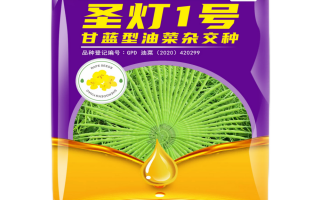 圣灯科技 新一代油菜品种圣灯1号高产高抗高油 圣灯科技 新一代油菜品种圣灯1号高产高抗高油