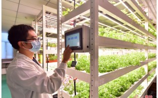 深圳 农业 科技 科技赋能农业新质生产力，深圳种业经济精准对接全国