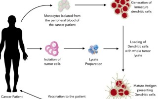广州晨创科技 细胞免疫治疗概念走强 八大概念股盘点